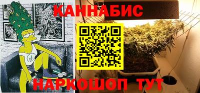 PSILOCYBIN Заводоуковск
