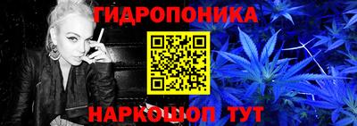PSILOCYBIN Заводоуковск